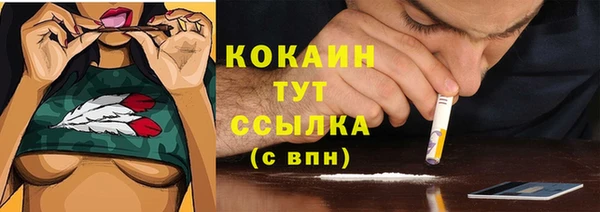мяу мяу мука Пересвет